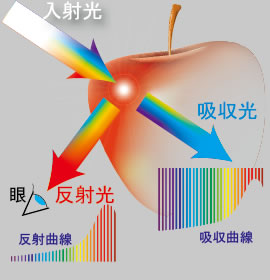 反射光