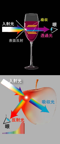 カラー　入射光、反射光