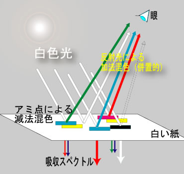 網点　印刷