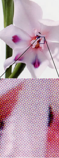 CMYK　網点