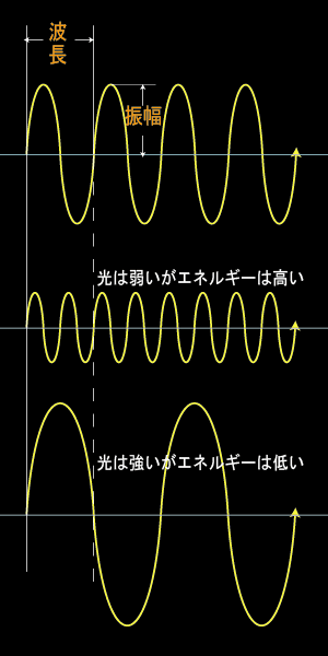 Illustrator基礎講座　光　波