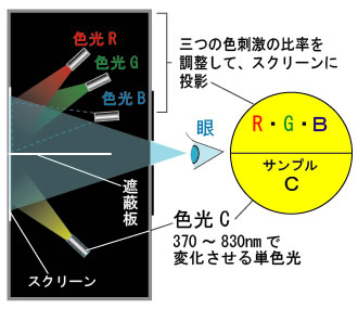 グラスマンの法則　等色実験