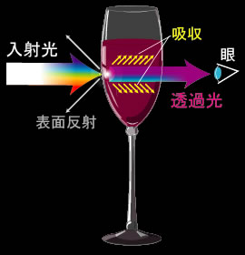 透過光