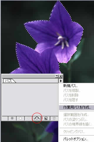 Illustrator/イラストレーター講座　クリッピングパス