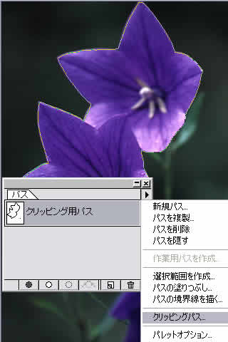Illustrator/イラストレーター講座　クリッピングパス