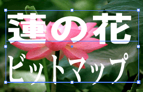 Illustrator　クリッピングマスク　008