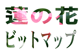 Illustrator　クリッピングマスク　09