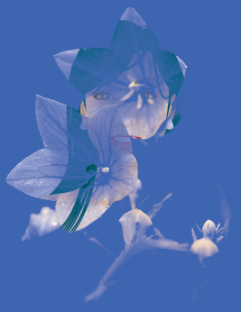 bitmap_mask