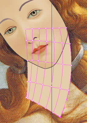 Illustrator　グラデーションメッシュ　ビーナスを描く　首メッシュライン