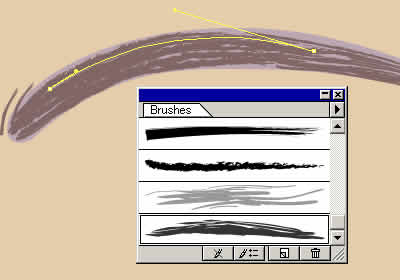 Illustrator　グラデーションメッシュ　ビーナスを描く　眉詳細図