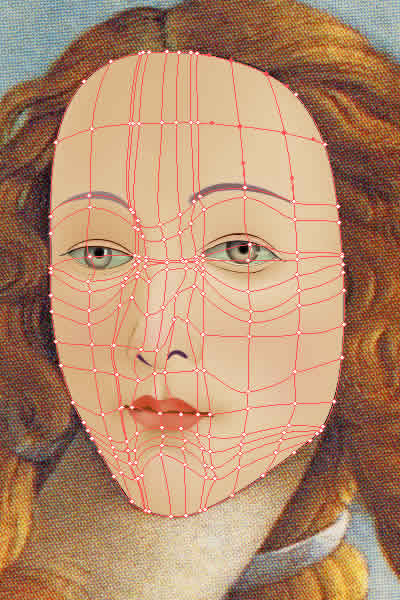 Illustrator　グラデーションメッシュ　ビーナスを描く　顔メッシュライン