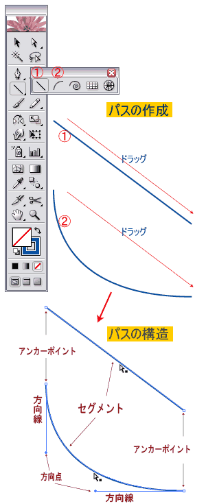 Illustrator パスの構造
