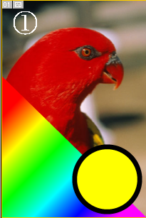 Illustrator　Web画像　JPEG