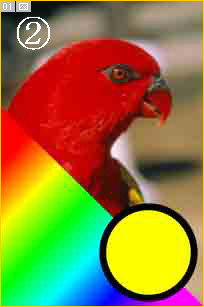 Illustrator　Web画像　JPEG